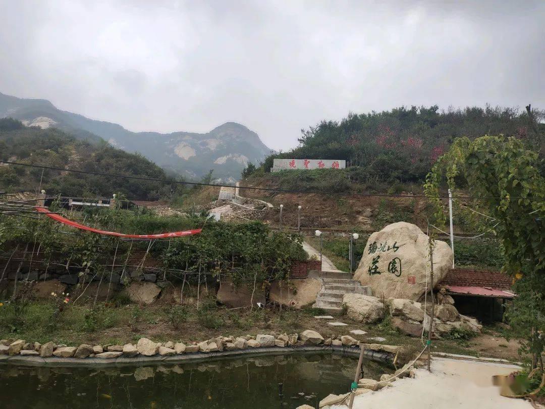顺丰同城(09699.HK)1月24日耗资226.9万港元回购25万股